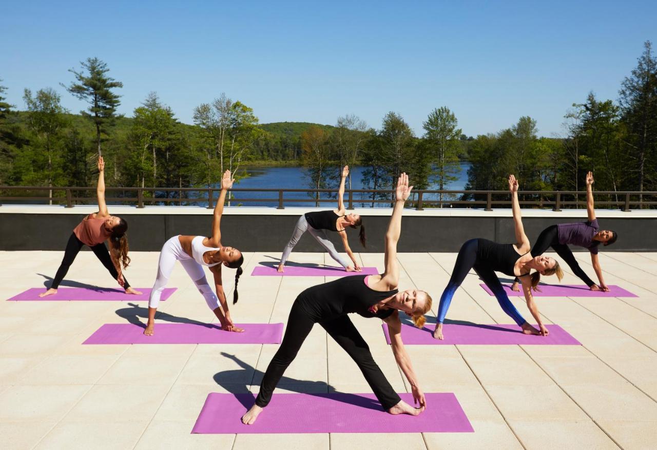 Yo1 Longevity & Health Resorts, Catskills Resort 4*